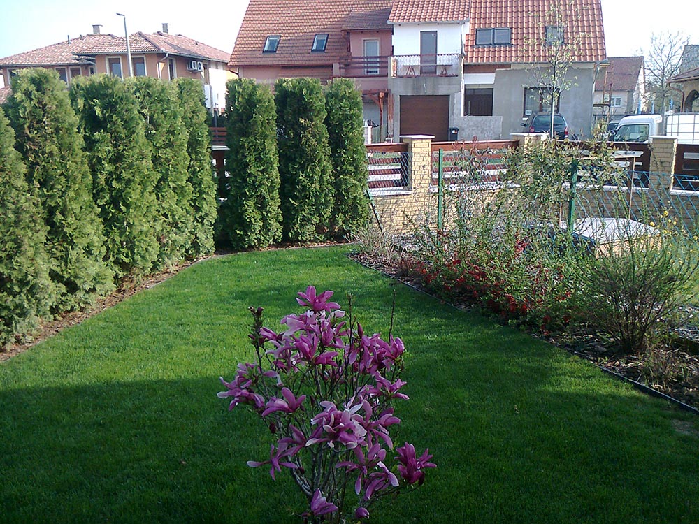 Precíz, teljes körű füvesítés kedvező árakon Professzionális füvesítés elérhető árakon.