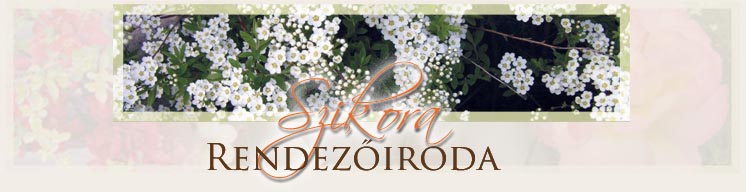 Előadókat keres rendezvényére?