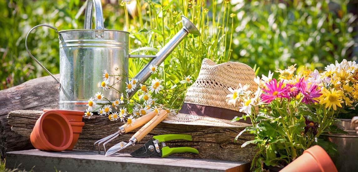 Nagyszerű áron igényelhet profi kertfenntartást