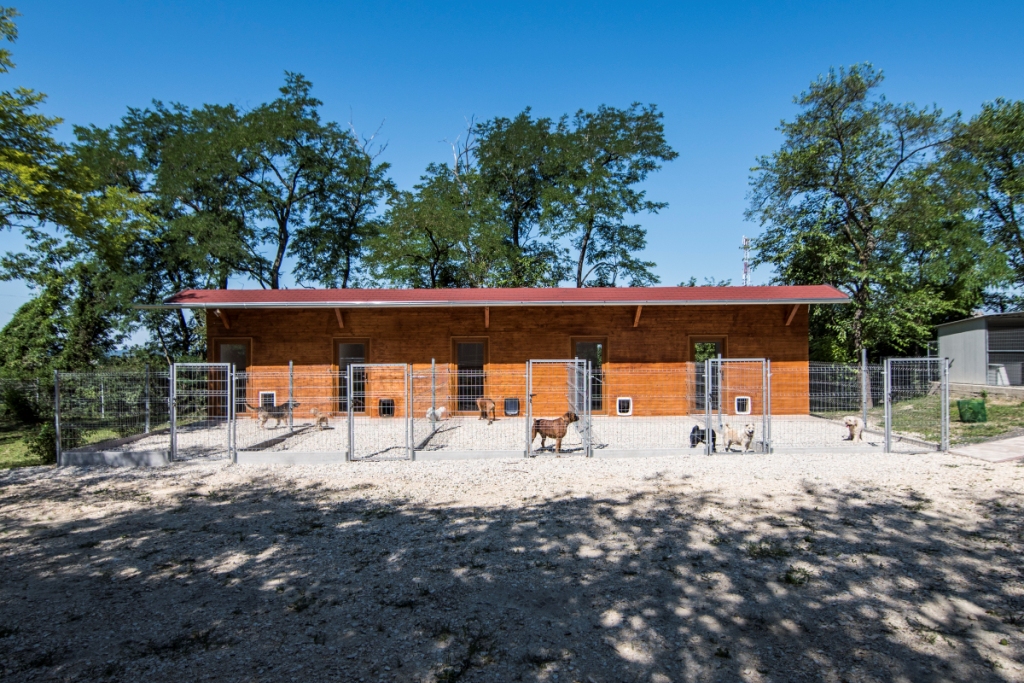 Megbízható kutya hotel, ahol kedvence kényelemben lehet