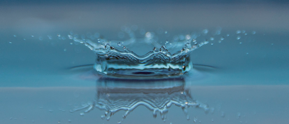 Profi megoldások várják!