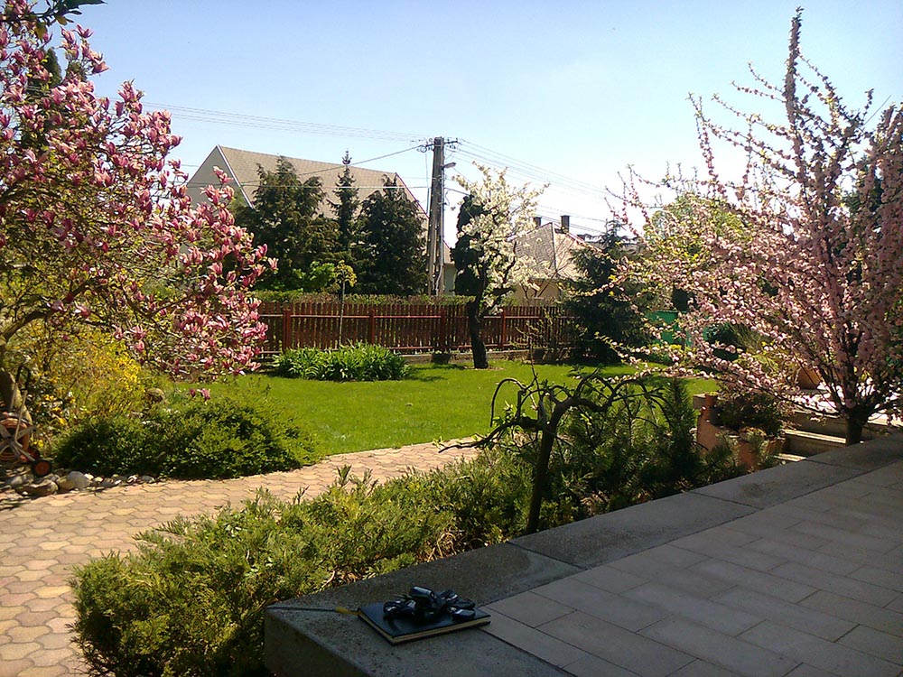 A füvesítés megadja kertjének a kellő alapot!