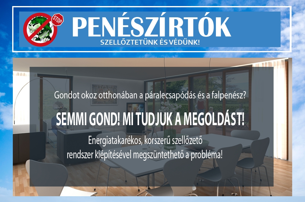 Elérhető áron igényelhet profi penésztelenítést!