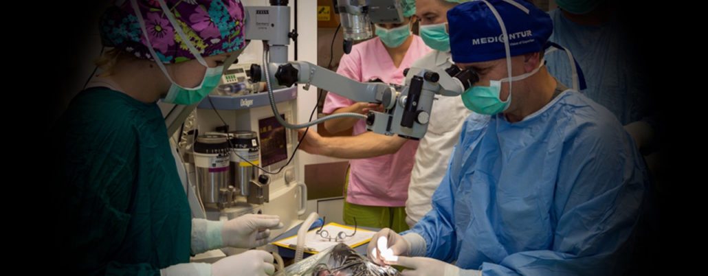 Könnyes, árpás kutyája szeme?