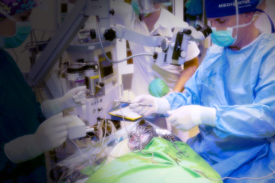 Aggódik mopsza látása miatt?