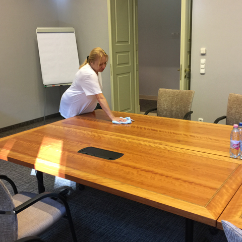 Bízza a tavaszi nagytakarítást profikra!