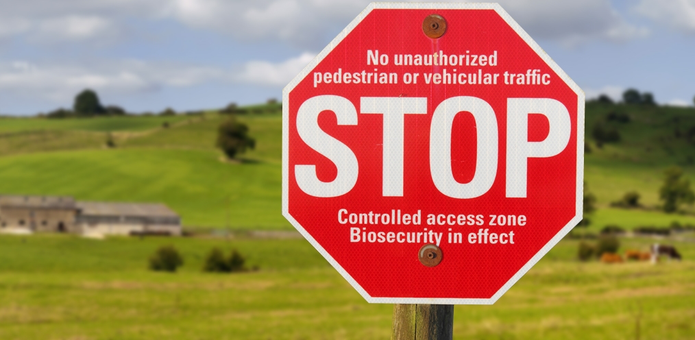 Állati tetem kezelés színvonalas módszerrel