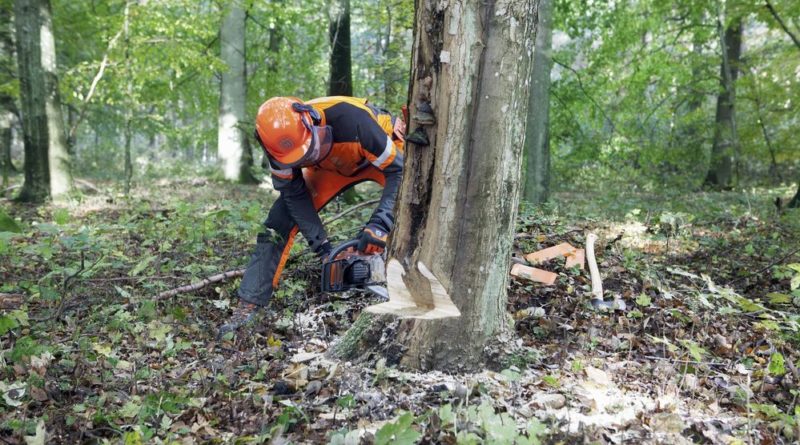 Milyen fizikai felnőttképzések vannak?